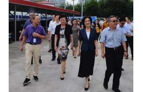 市人大副主任钟燕群率人大代表考察徐家汇中心项目